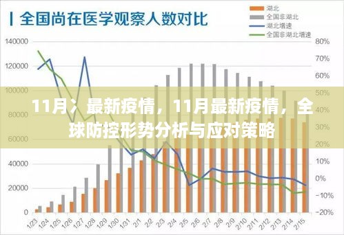 新冠肺炎疫病的最新动态，全球视角与应对策略