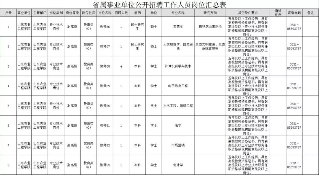 山东省招聘最新信息概览