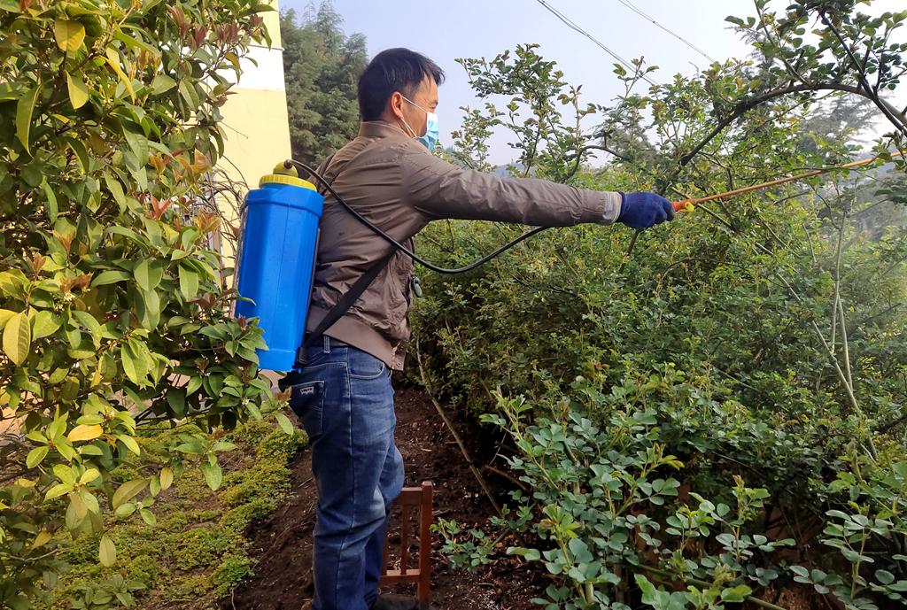 疫情开学时间最新通知，各地动态与应对策略