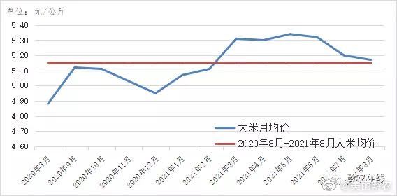 大米价格上涨的最新动态及其影响